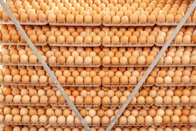 Fresh eggs